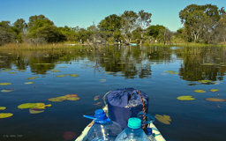 Mokoro-Rückfahrt aus dem Okawango Delta
